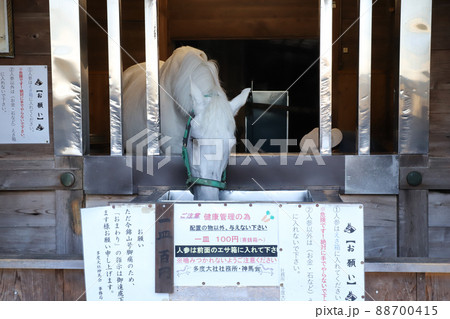 多度大社 三重県 多度大社 三重県 88700415