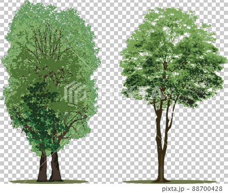 Tree tree set Tree tree set 88700428