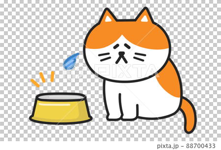 Illustration of a sad cat without rice Illustration of a sad cat without rice 88700433