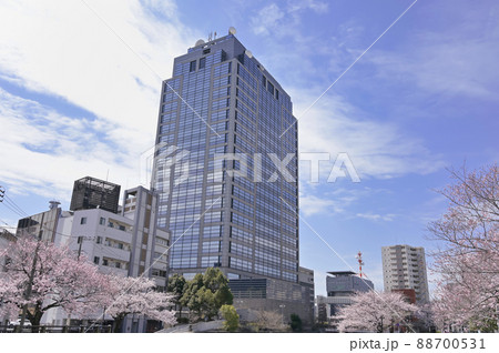 千葉県庁と春の千葉市街の風景 88700531