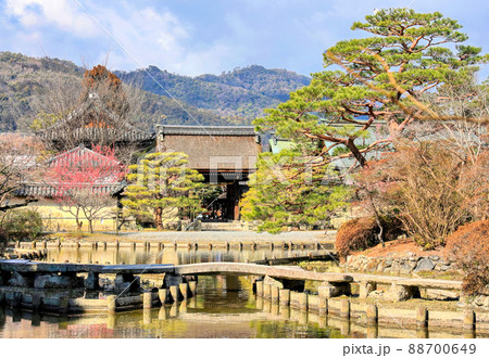 京都、梅宮大社の神苑 88700649