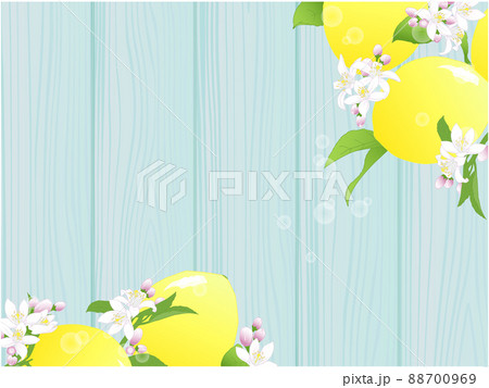 レモンの実と花の背景②(木目,水色) 88700969