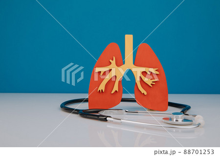 Disease prevention concept. Model of lungs and stethoscope are on doctor's table 88701253