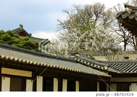 建物 風景 花 88701429