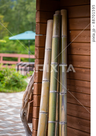 建てかけられた竹　bamboo 88701595