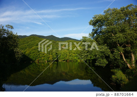 裏磐梯曲沢沼 88701664