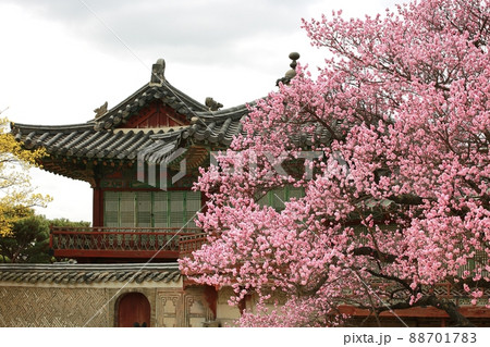 建物 風景 花 88701783