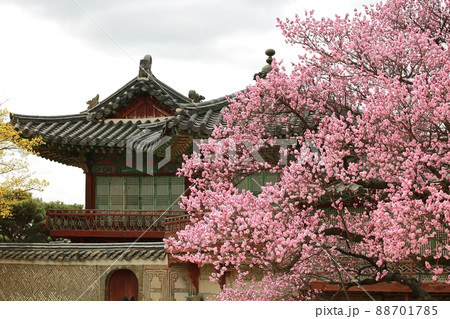 建物 風景 花 88701785