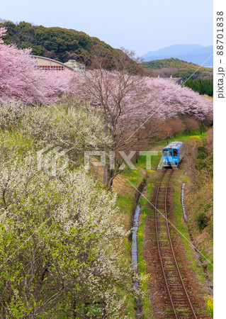 平成筑豊鉄道と桜 平成筑豊鉄道と桜 88701838