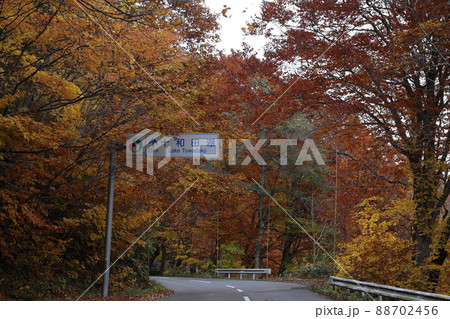 温川温泉の紅葉（青森県） 88702456