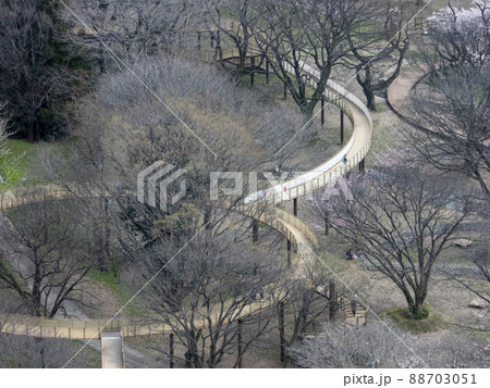 一宮タワー展望台から見た公園の風景 一宮タワー展望台から見た公園の風景 88703051