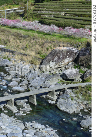 長屋の沈下橋 長屋の沈下橋 88703362