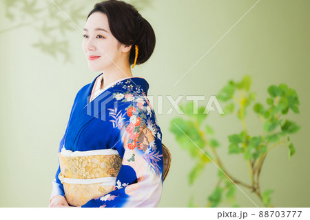 青い訪問着 青い訪問着 88703777