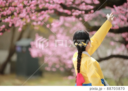 女性 女 女の子 88703870
