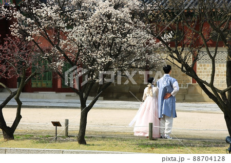 梅 カップル 韓服 88704128