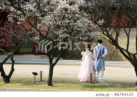 旅行 梅 韓服 88704135