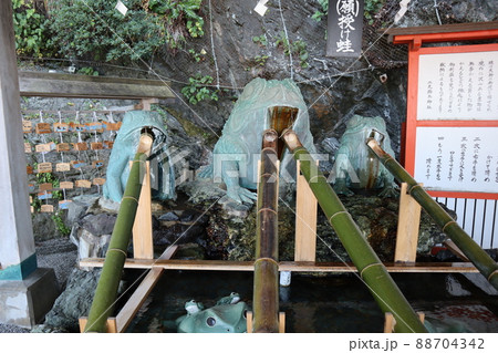 二見蛙の手水_二見輿玉神社_伊勢 二見蛙の手水_二見輿玉神社_伊勢 88704342