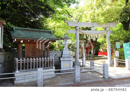 新田神社 88704482