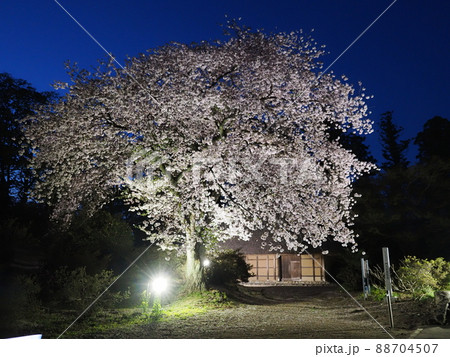 阿久沢家住宅(国指定重要文化財) 阿久沢家住宅(国指定重要文化財) 88704507