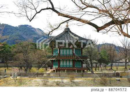 春 風景 景福宮 88704572