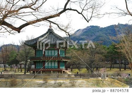 春 風景 景福宮 88704578