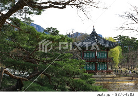 春 風景 景福宮 88704582