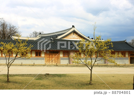 花 風景 建物 88704801