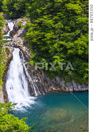 【秋田県・法体の滝】新緑美しく心和ませてくれる法体の滝 【秋田県・法体の滝】新緑美しく心和ませてくれる法体の滝 88705350