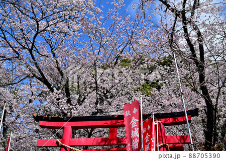 岩水寺　金城稲荷社 88705390