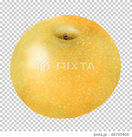 水彩插圖梨 88705408