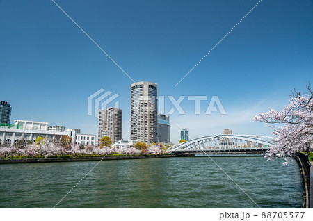 春の大川と大阪アメニティーパーク 88705577