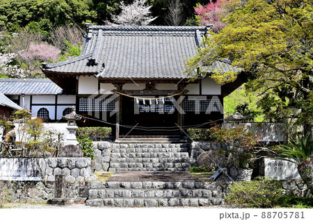 岩水寺　薬師堂 88705781