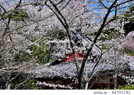岩水寺　太子堂　 88705782