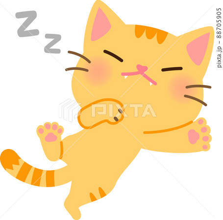 仰向けで熟睡するトラ猫 88705905