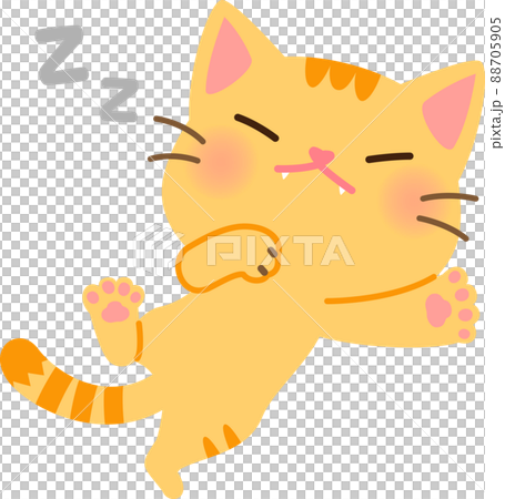 仰向けで熟睡するトラ猫 88705905