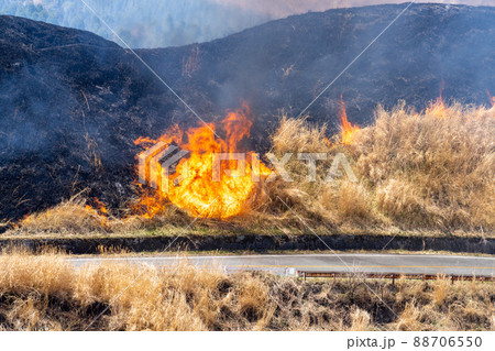 《熊本県》阿蘇・野焼き 88706550