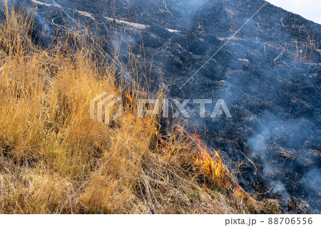 《熊本県》阿蘇・野焼き 《熊本県》阿蘇・野焼き 88706556