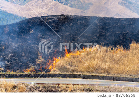 《熊本県》阿蘇・野焼き 88706559