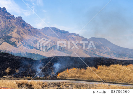 《熊本県》阿蘇・野焼き 88706560