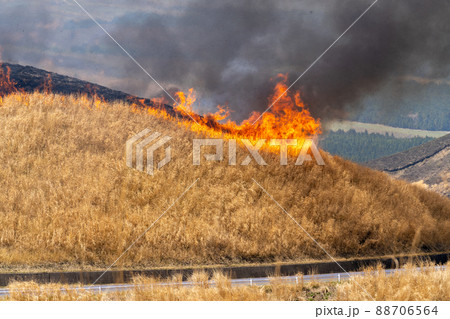 《熊本県》阿蘇・野焼き 《熊本県》阿蘇・野焼き 88706564