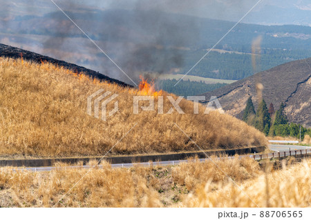 《熊本県》阿蘇・野焼き 88706565