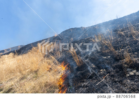《熊本県》阿蘇・野焼き 《熊本県》阿蘇・野焼き 88706568