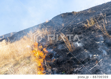 《熊本県》阿蘇・野焼き 88706569