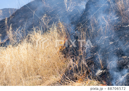 《熊本県》阿蘇・野焼き 88706572