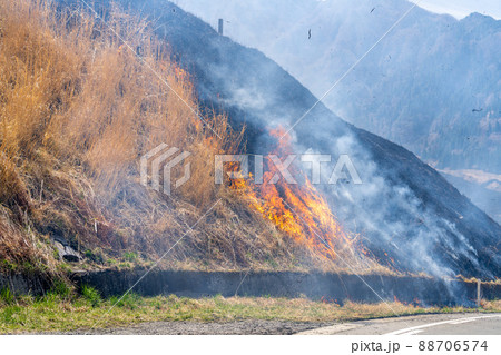 《熊本県》阿蘇・野焼き 88706574