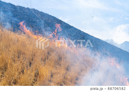 《熊本県》阿蘇・野焼き 88706582