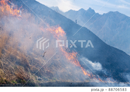 《熊本県》阿蘇・野焼き 88706583