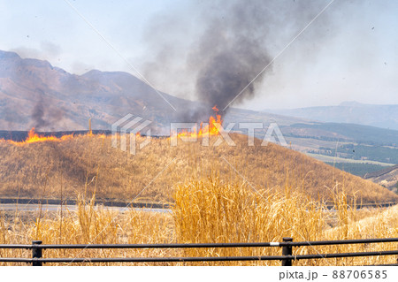 《熊本県》阿蘇・野焼き 88706585