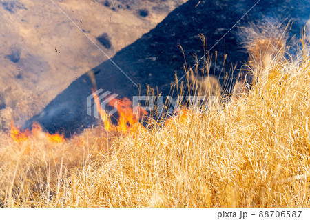 《熊本県》阿蘇・野焼き 88706587