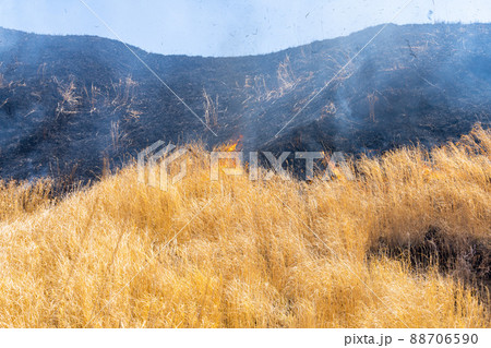 《熊本県》阿蘇・野焼き 《熊本県》阿蘇・野焼き 88706590